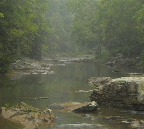 Fog on Birch River - West Virginia Explorer