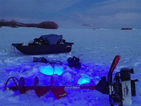 Ice fishing with our REEL BriteBite 12v fishing light | Fishing lights, Solar deck lights, Deck ...