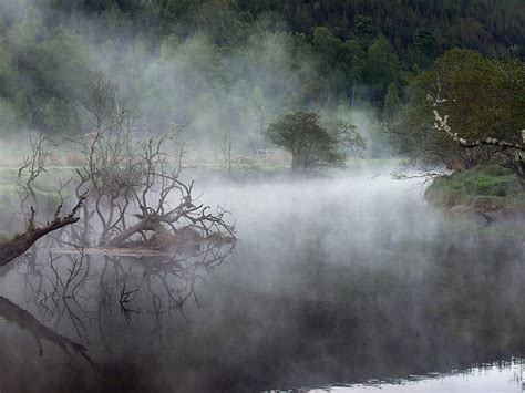 HD wallpaper: forest, fog, lake | Wallpaper Flare