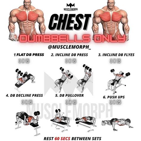 🇺🇲tips.4health’s Instagram photo: “🔥CHEST WORKOUT DUMBBELLS ONLY🔥by ...