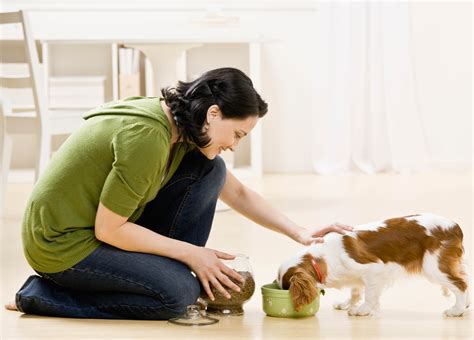 Prevent your Dog's Resource Guarding Behaviour | Australian Dog Lover