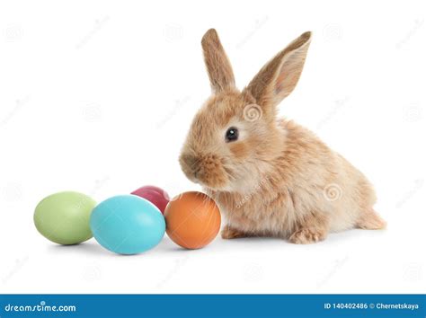 Easter Bunny From Marcipan Stock Image | CartoonDealer.com #17350723