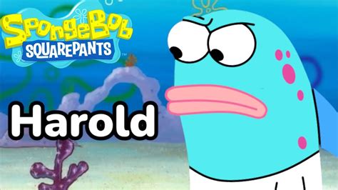 SpongeBob: Harold - YouTube