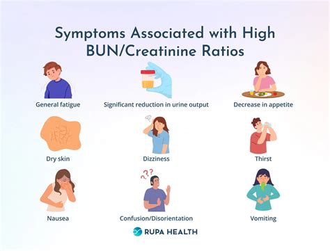 High BUN Creatinine Ratio: Causes, Symptoms, and Treatment