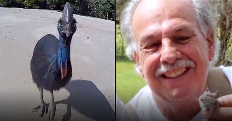 Man Dies From Attack By Cassowary, The World's Most Dangerous Bird ...