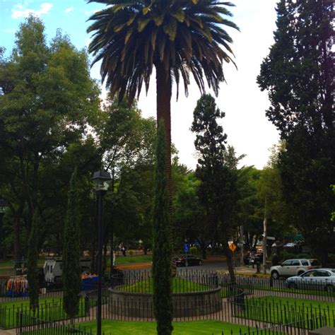 Polanco. | Favorite places, Great places, Mexico city