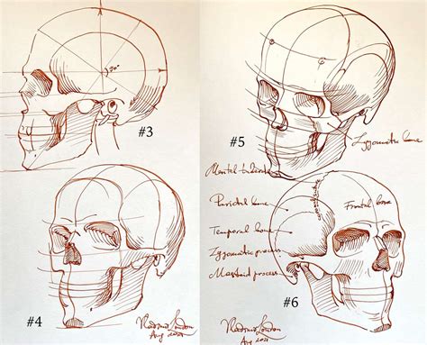 How to Sketch a Skull