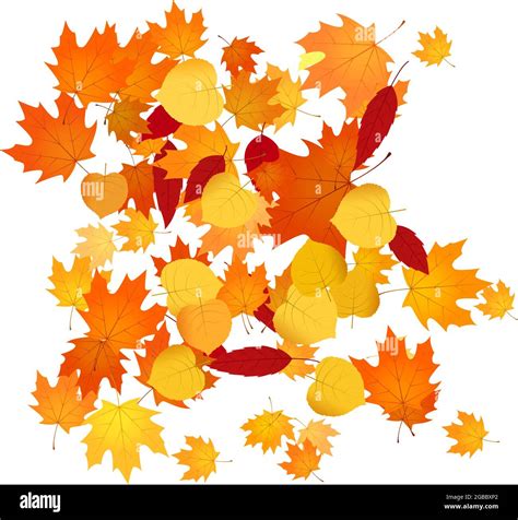 Pile Of Leaves Clipart