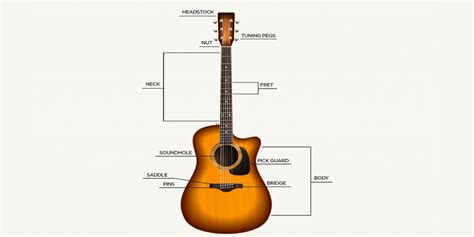 Acoustic Guitar 101 | Pro Lessons