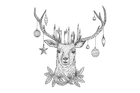 Reindeer Sketches