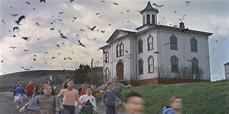 1,001 Movies You Must See Before You Die Challenge: The Birds (1963)