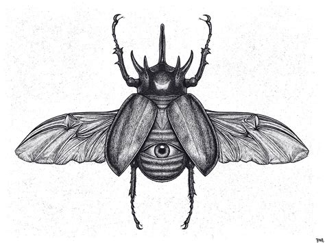 Gianluca Gambino aka Tenia - Beetle - Drawing Tattoo Designs, Sketch Tattoo Design, Tattoo ...