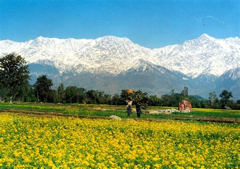 Kangra: A Place With Golden Historical Background | Himachal pradesh, Kangra, Landscape