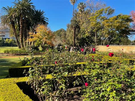 Showcasing our beautiful Government House Gardens - Government House