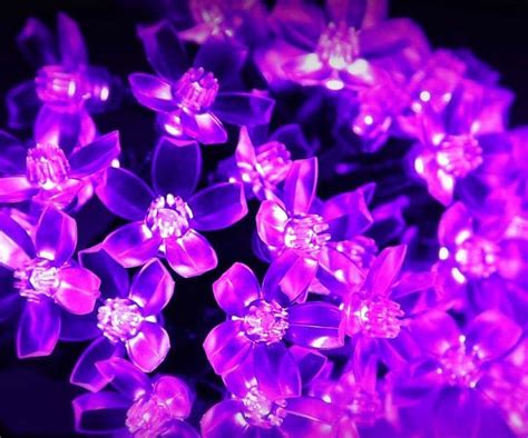 Solar Powered Fairy Lights