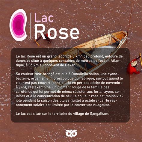 logo lac rose on Behance