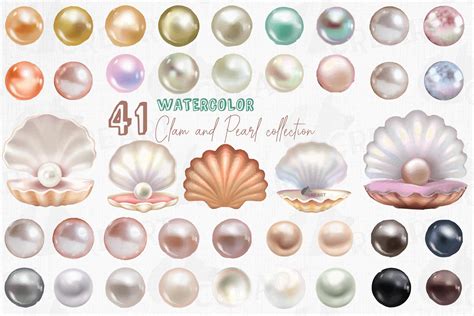 Watercolor clam shell and pearls design elements clip art.