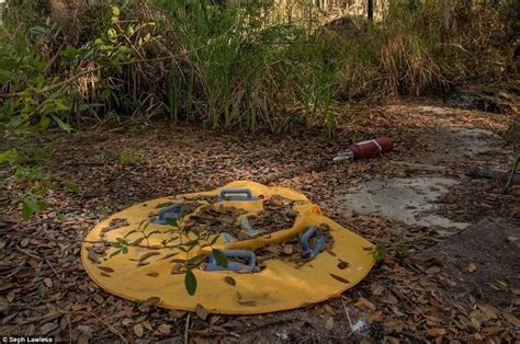 Disney's River Country: 29 Photos Of The Mysteriously Abandoned Park