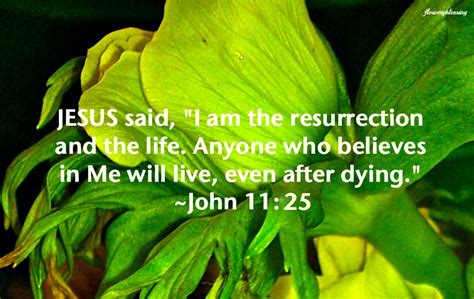 Flowery Blessing: Jesus said, "I am the resurrection and the life. Anyone who believes in Me ...