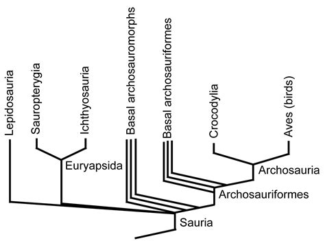 HONR219d - On Beyond Dinosaurs - Patterns and Enigmas in Vertebrate Evolution