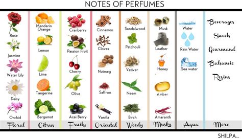 The Perfect Guide To Perfume Notes And How To Choose 'em!