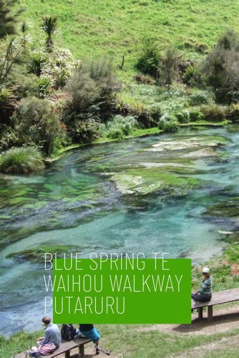 Blue Spring, Te Waihou Walkway in Putaruru by Freewalks.nz