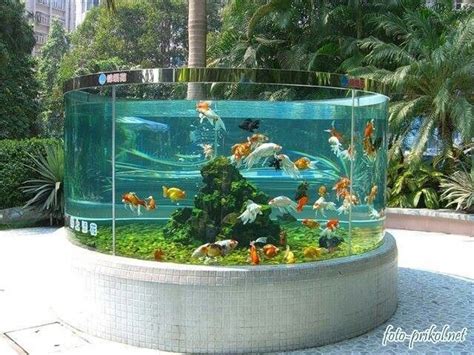 44 best crazy fish tanks images on Pinterest | Fish tanks, Fish aquariums and Aquarium ideas