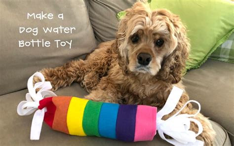 How to Make a Water Bottle Dog Toy Handmade Pet Gift