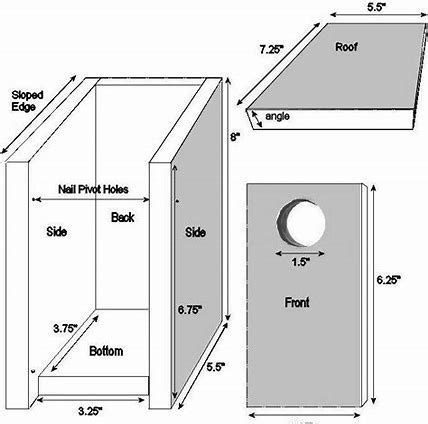 Image result for Hummingbird Bird House Plans | Bird house plans, Bluebird house plans, Bird house