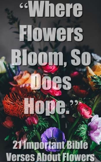 40 Important Bible Verses About Flowers (Blooming Flowers)