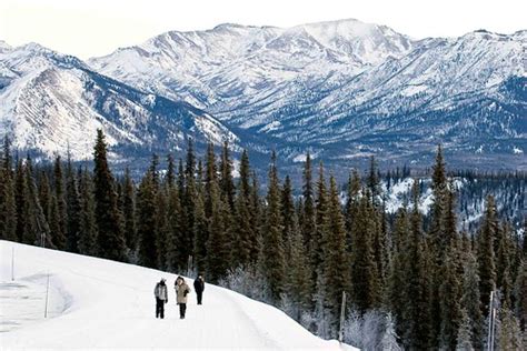 Denali in winter | Taken in Denali National Park. It was ama… | Flickr