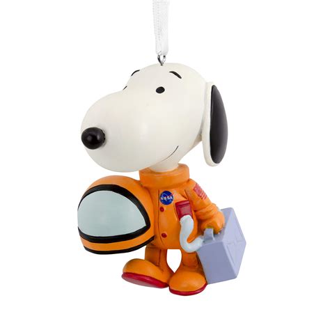 Snoopy In Space Suit