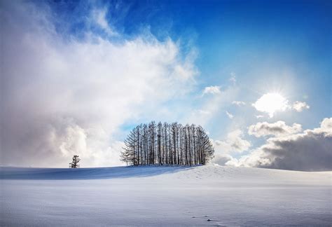 Winter story in Hokkaido - Mild seven Hill of Biei(美瑛), Hokkaido in Japan ⓒWoosra Kim | Hokkaido ...