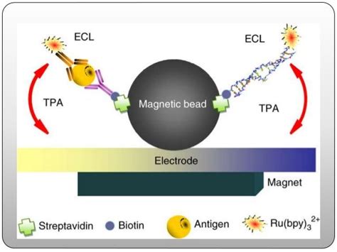 electrochemiluminescence