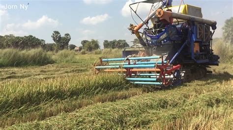 Large scale rice harvesting machine,ម៉ាសុីនច្រូតស្រូវសេះហោះ - YouTube