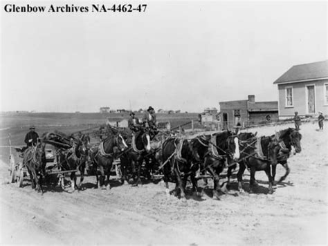 Calgary's history with horses | CBC News