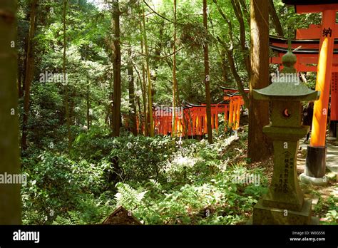 Fushimi Inari Shrine Stock Photo - Alamy