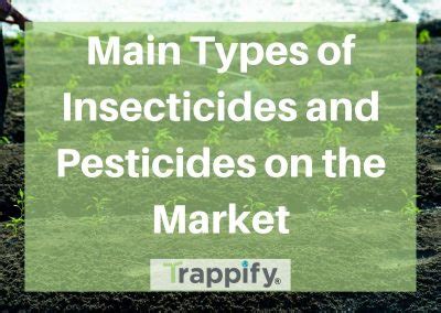 Main Types of Insecticides and Pesticides on the Market - Trappify