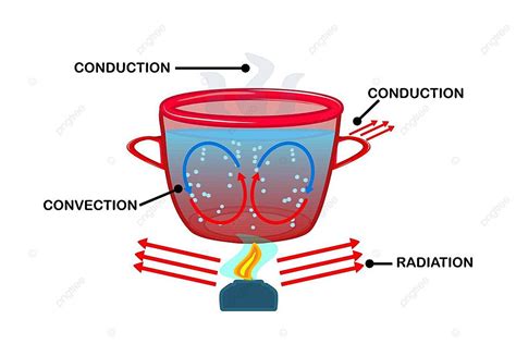 Heat Transfer Convection Currents Labeled Diagram Education Concept Chemistry Vector, Education ...