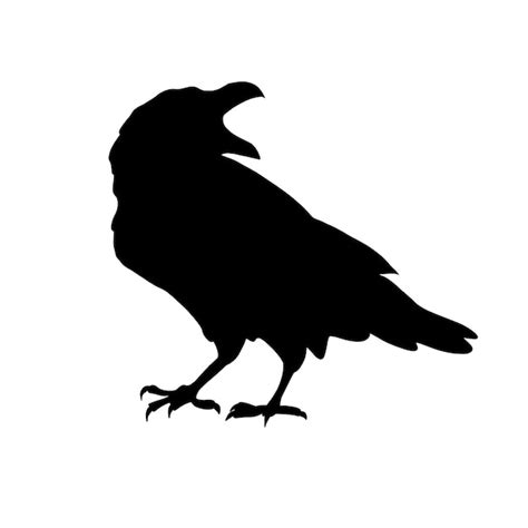 Premium Vector | Black raven or crow The silhouette of a bird on a ...