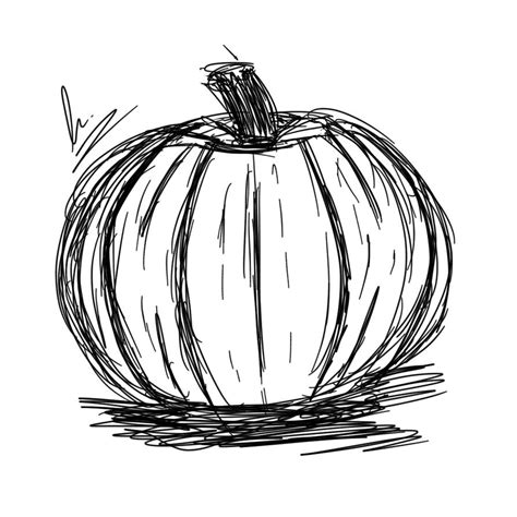 Pumpkin (sketch) by Garabelle on DeviantArt