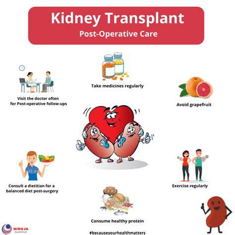 Kidney Transplant Regions Map