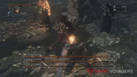 How To Beat The Shadow of Yharnam in Bloodborne - Game Voyagers