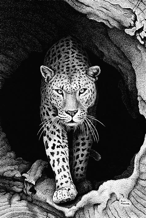 Leopard In A Log by ronmonroe on deviantART | Leopard art, Leopard ...