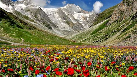 Exploring the Divine Hemkund Valley: Discovering the Enchanting Valley of Flowers in the Garhwal ...