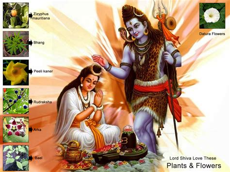 Do you know why we worship these plants to Lord Shiva ? | Blog ...