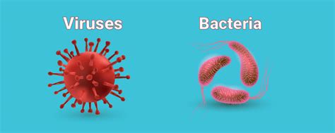 A History Of Viruses And Bacteria (And The Worst Of Them)