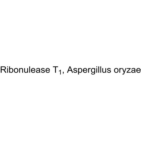 Ribonulease T1, Aspergillus oryzae (Rnase T1) | Endonuclease ...