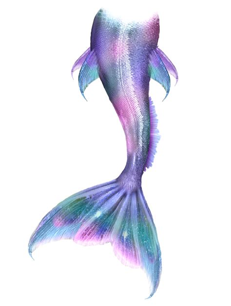 Nymphiana Mermaid Tail Cartoon Png Transparent Mermaid Transparent | Images and Photos finder