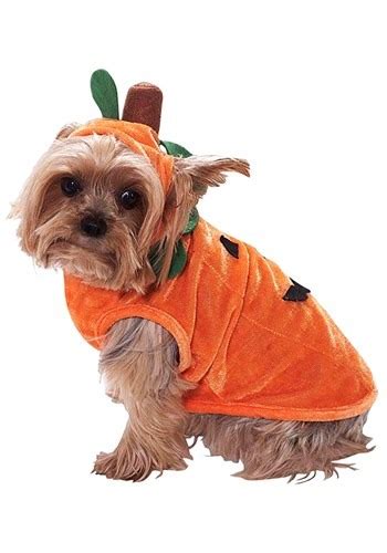 Dog Pumpkin Costume